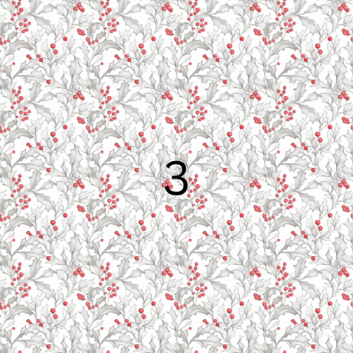 Christmas Card Red Santa & Check Toile